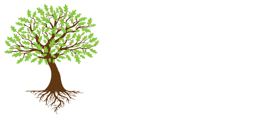 image-918610-Noelle-Padilla-logo-white-text-web-8f14e.png